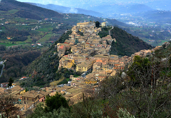 arpino